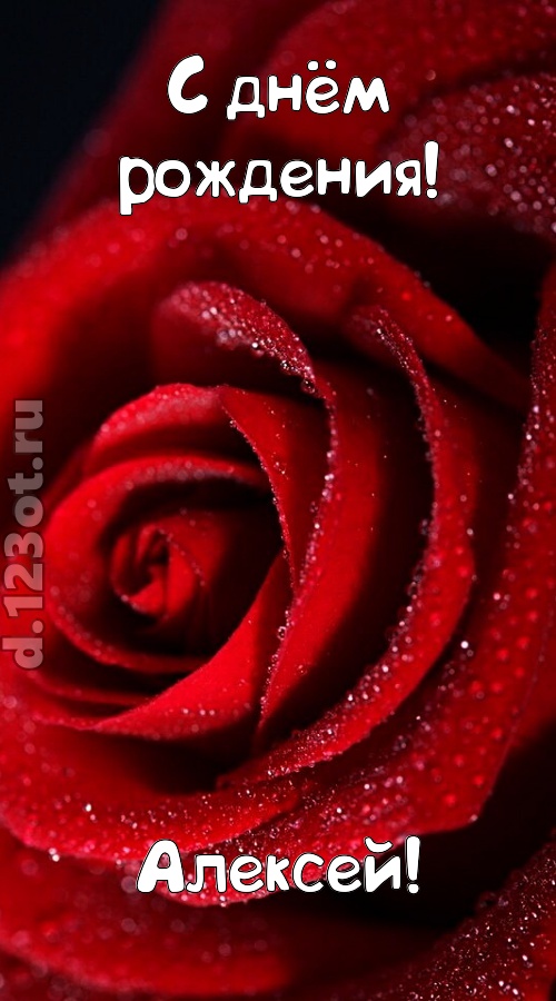 отрезвляющая открытка с днём рождения алексей, скачать онлайн бесплатно на iphone для вацап, поздравление алексей