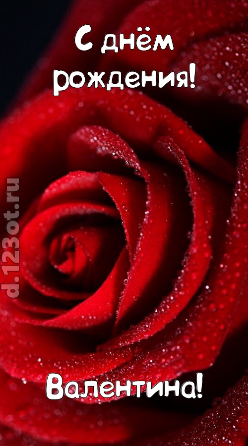 отрезвляющая открытка с днём рождения валентина, скачать онлайн бесплатно на iphone для вацап, поздравление валентина