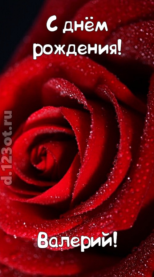 отрезвляющая открытка с днём рождения валерий, скачать онлайн бесплатно на iphone для вацап, поздравление валерий