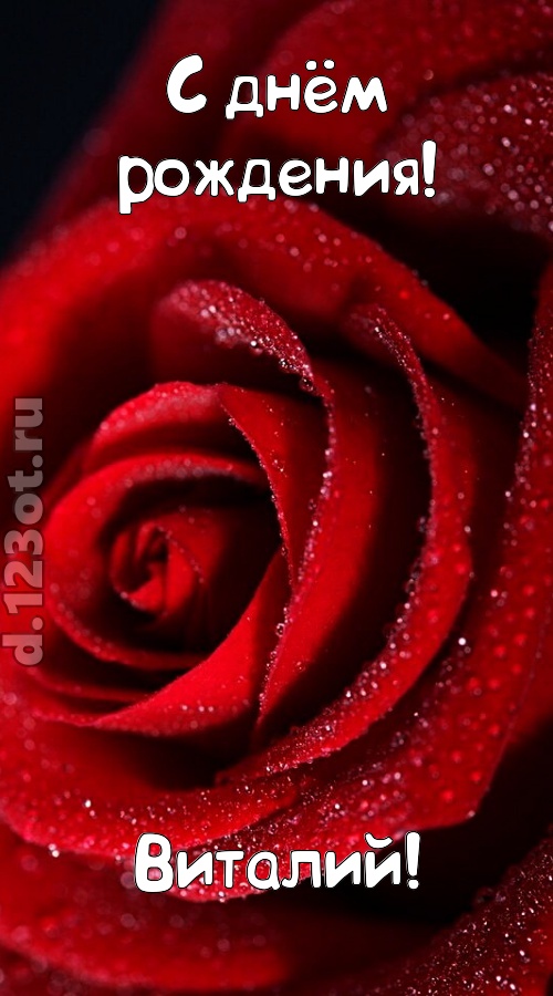 отрезвляющая открытка с днём рождения виталий, скачать онлайн бесплатно на iphone для вацап, поздравление виталий