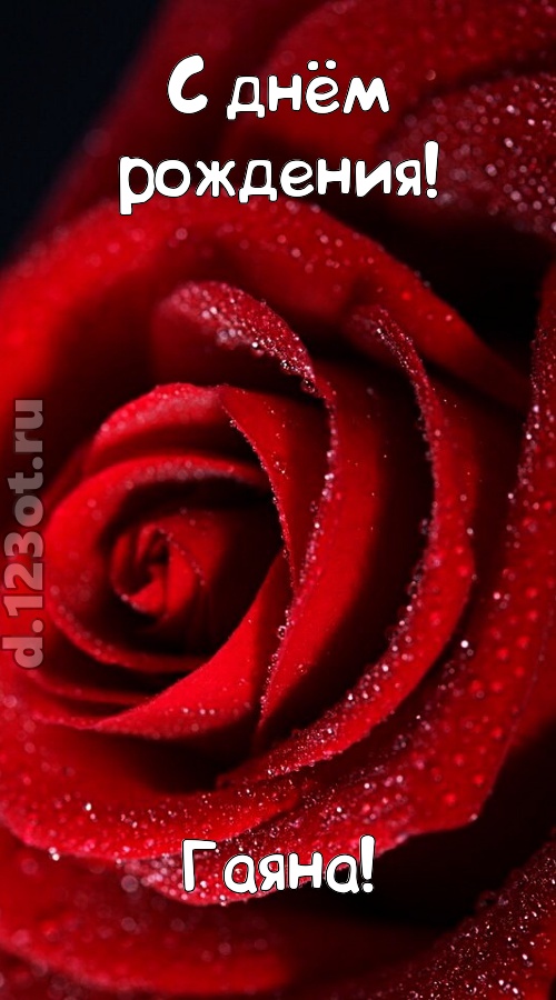 отрезвляющая открытка с днём рождения гаяна, скачать онлайн бесплатно на iphone для вацап, поздравление гаяна