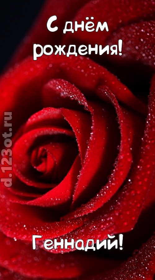 отрезвляющая открытка с днём рождения геннадий, скачать онлайн бесплатно на iphone для вацап, поздравление геннадий