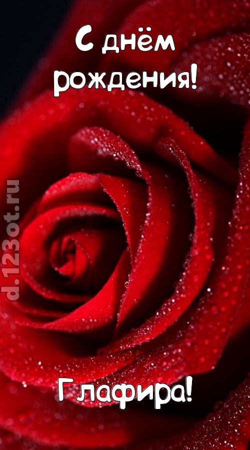 отрезвляющая открытка с днём рождения глафира, скачать онлайн бесплатно на iphone для вацап, поздравление глафира