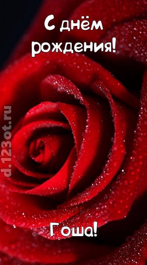 отрезвляющая открытка с днём рождения гоша, скачать онлайн бесплатно на iphone для вацап, поздравление гоша