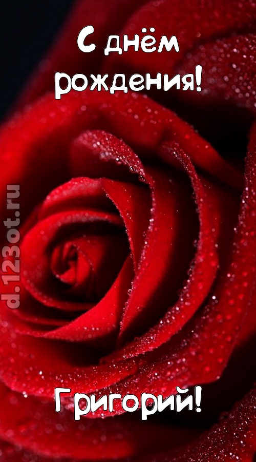 отрезвляющая открытка с днём рождения григорий, скачать онлайн бесплатно на iphone для вацап, поздравление григорий