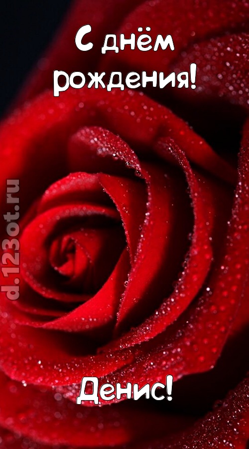 отрезвляющая открытка с днём рождения денис, скачать онлайн бесплатно на iphone для вацап, поздравление денис