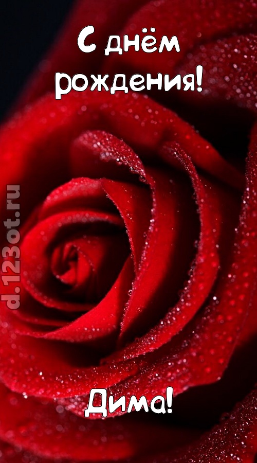 отрезвляющая открытка с днём рождения дима, скачать онлайн бесплатно на iphone для вацап, поздравление дима