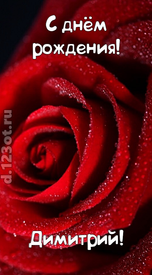 отрезвляющая открытка с днём рождения димитрий, скачать онлайн бесплатно на iphone для вацап, поздравление димитрий