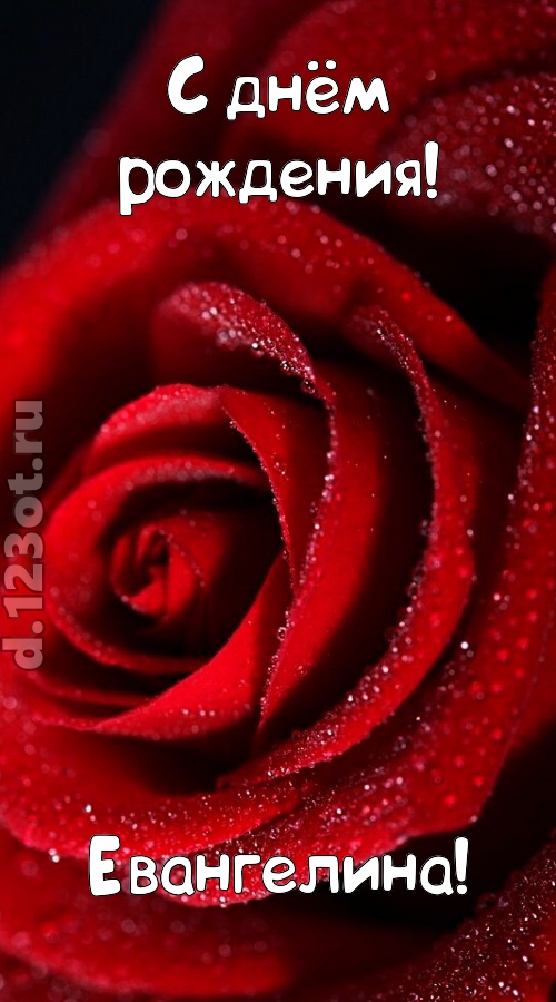 отрезвляющая открытка с днём рождения евангелина, скачать онлайн бесплатно на iphone для вацап, поздравление евангелина