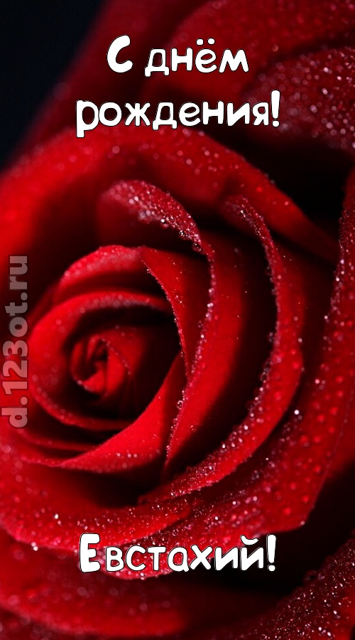 отрезвляющая открытка с днём рождения евстахий, скачать онлайн бесплатно на iphone для вацап, поздравление евстахий