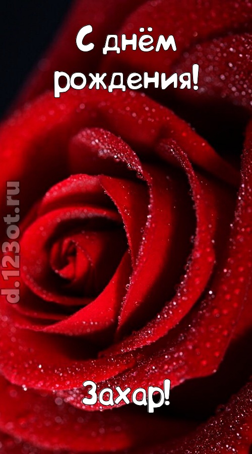 отрезвляющая открытка с днём рождения захар, скачать онлайн бесплатно на iphone для вацап, поздравление захар