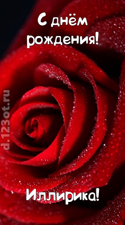 отрезвляющая открытка с днём рождения иллирика, скачать онлайн бесплатно на iphone для вацап, поздравление иллирика