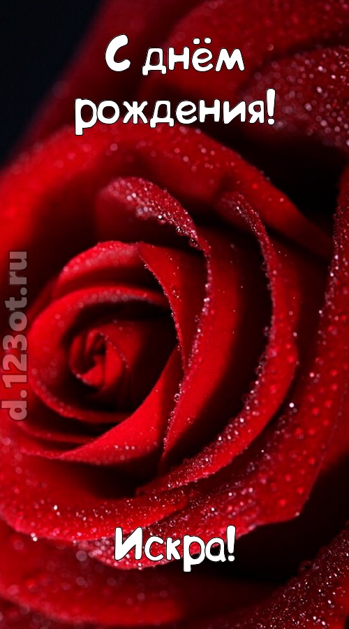 отрезвляющая открытка с днём рождения искра, скачать онлайн бесплатно на iphone для вацап, поздравление искра