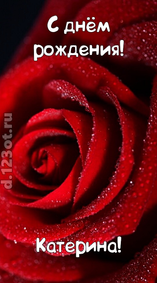 отрезвляющая открытка с днём рождения катерина, скачать онлайн бесплатно на iphone для вацап, поздравление катерина