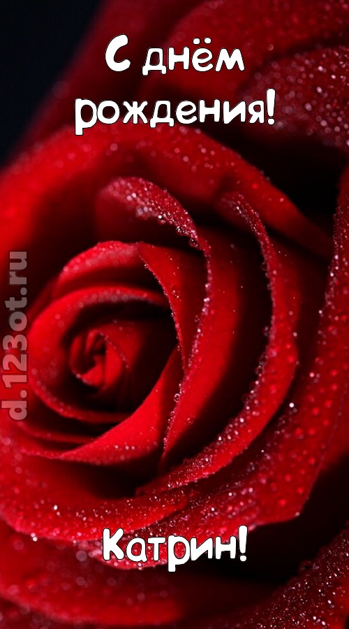 отрезвляющая открытка с днём рождения катрин, скачать онлайн бесплатно на iphone для вацап, поздравление катрин
