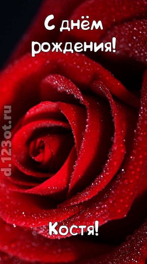 отрезвляющая открытка с днём рождения костя, скачать онлайн бесплатно на iphone для вацап, поздравление костя