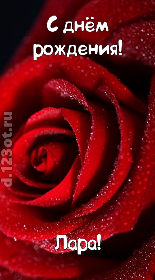 отрезвляющая открытка с днём рождения лара, скачать онлайн бесплатно на iphone для вацап, поздравление лара