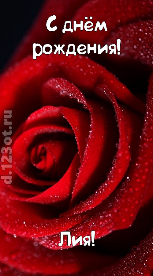 отрезвляющая открытка с днём рождения лия, скачать онлайн бесплатно на iphone для вацап, поздравление лия