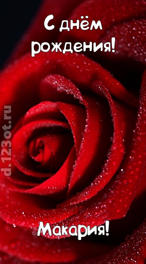 отрезвляющая открытка с днём рождения макария, скачать онлайн бесплатно на iphone для вацап, поздравление макария