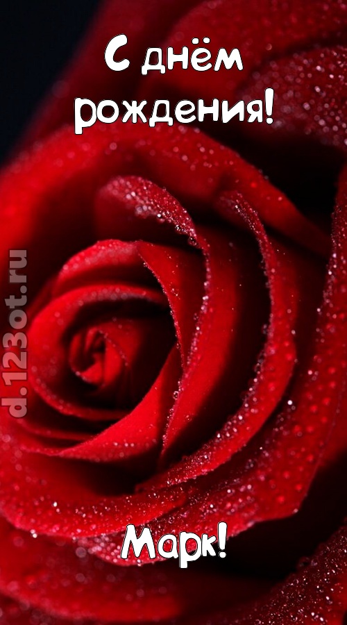 отрезвляющая открытка с днём рождения марк, скачать онлайн бесплатно на iphone для вацап, поздравление марк
