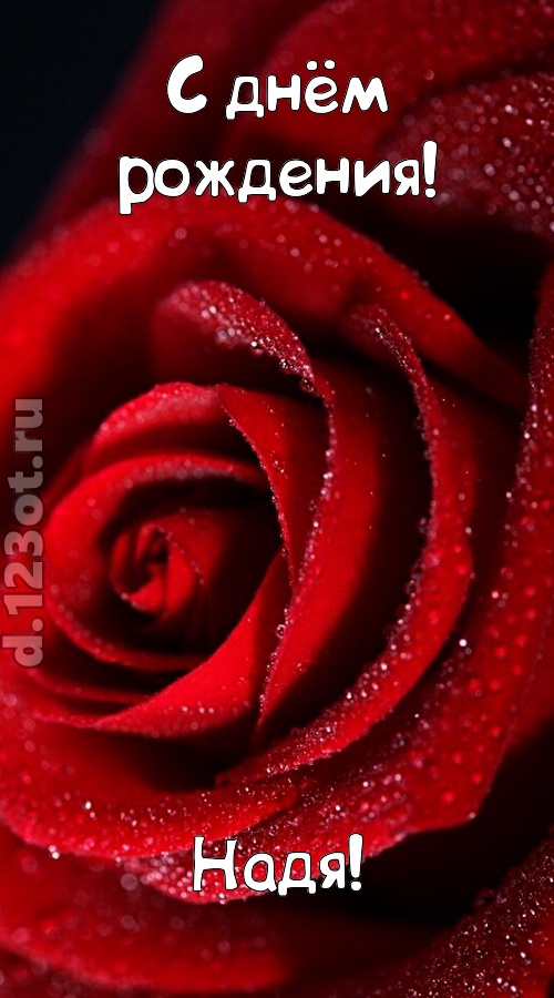 отрезвляющая открытка с днём рождения надя, скачать онлайн бесплатно на iphone для вацап, поздравление надя