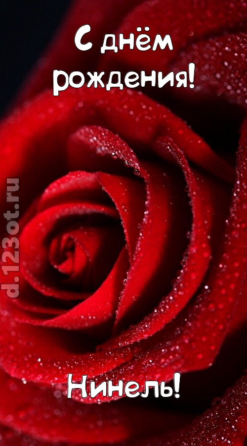 отрезвляющая открытка с днём рождения нинель, скачать онлайн бесплатно на iphone для вацап, поздравление нинель