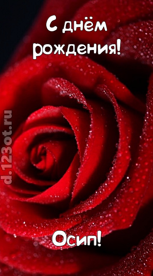 отрезвляющая открытка с днём рождения осип, скачать онлайн бесплатно на iphone для вацап, поздравление осип
