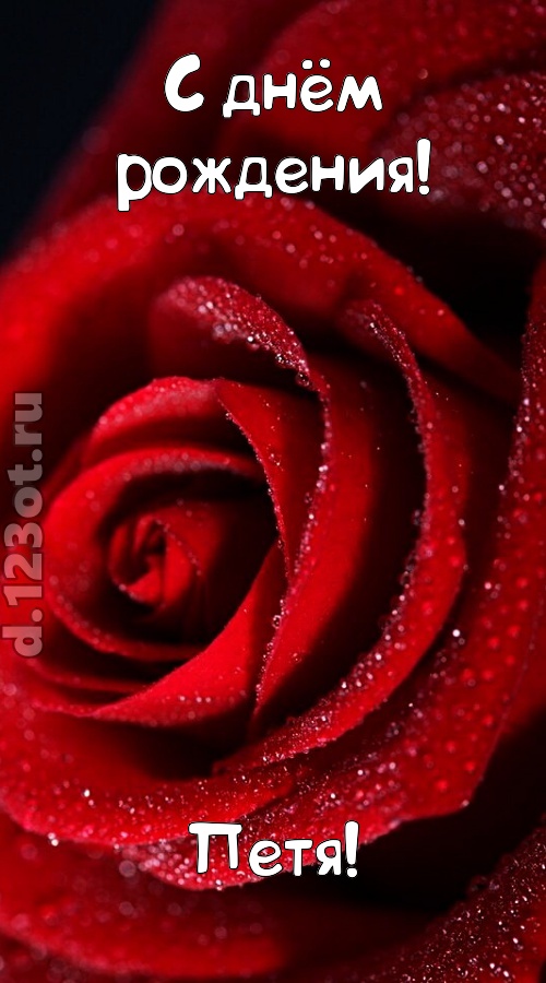 отрезвляющая открытка с днём рождения петя, скачать онлайн бесплатно на iphone для вацап, поздравление петя