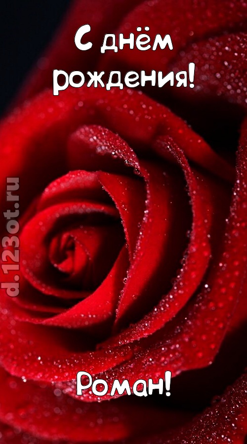 отрезвляющая открытка с днём рождения роман, скачать онлайн бесплатно на iphone для вацап, поздравление роман
