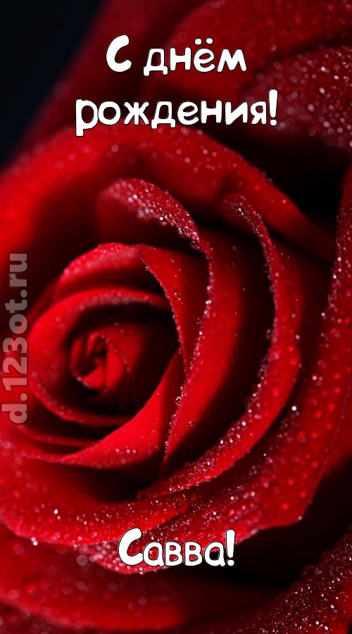 отрезвляющая открытка с днём рождения савва, скачать онлайн бесплатно на iphone для вацап, поздравление савва