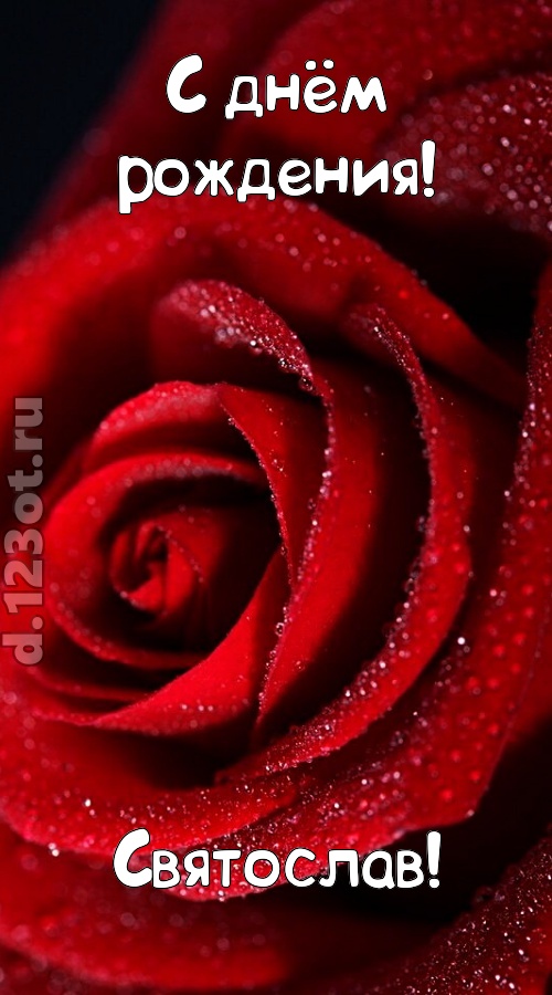 отрезвляющая открытка с днём рождения святослав, скачать онлайн бесплатно на iphone для вацап, поздравление святослав
