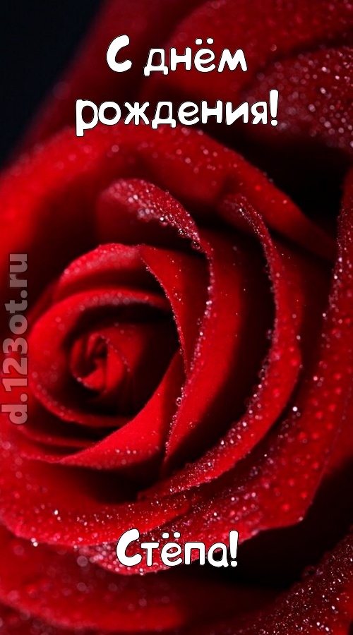 отрезвляющая открытка с днём рождения стёпа, скачать онлайн бесплатно на iphone для вацап, поздравление стёпа