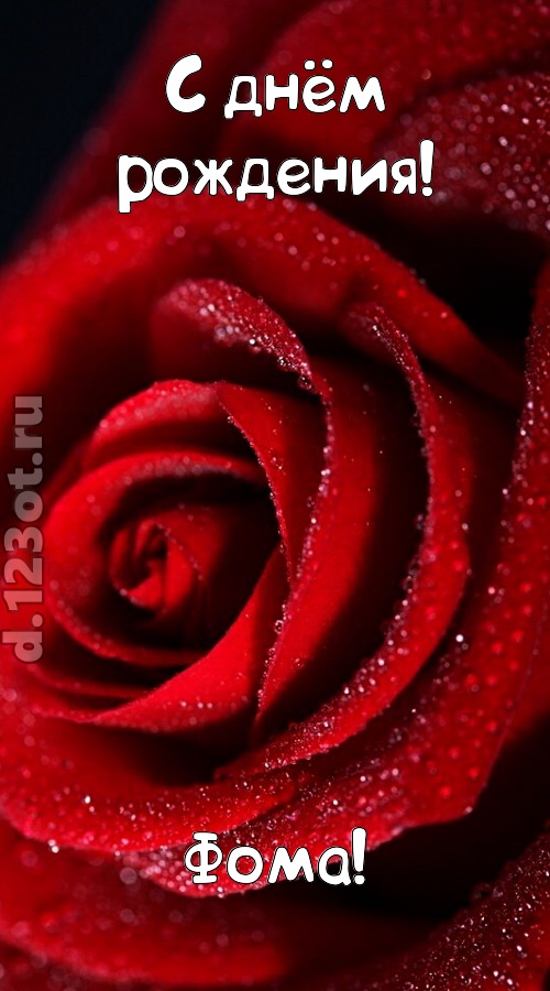 отрезвляющая открытка с днём рождения фома, скачать онлайн бесплатно на iphone для вацап, поздравление фома