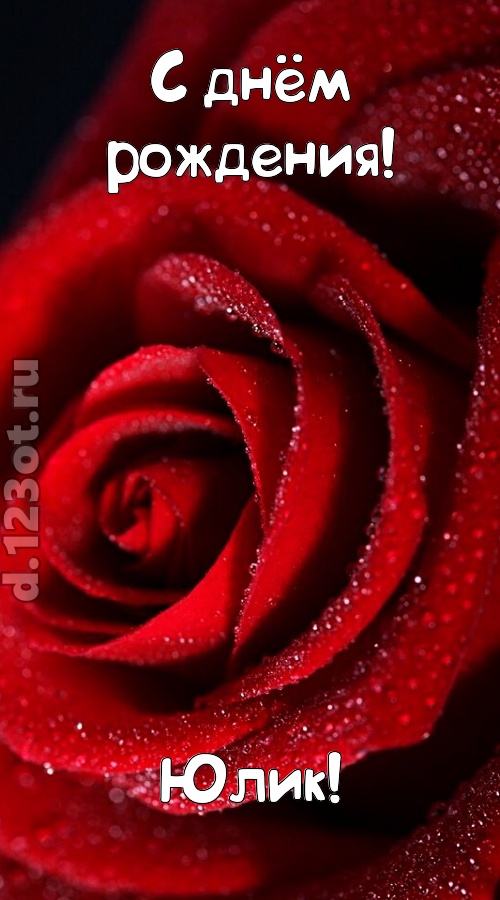 отрезвляющая открытка с днём рождения юлик, скачать онлайн бесплатно на iphone для вацап, поздравление юлик