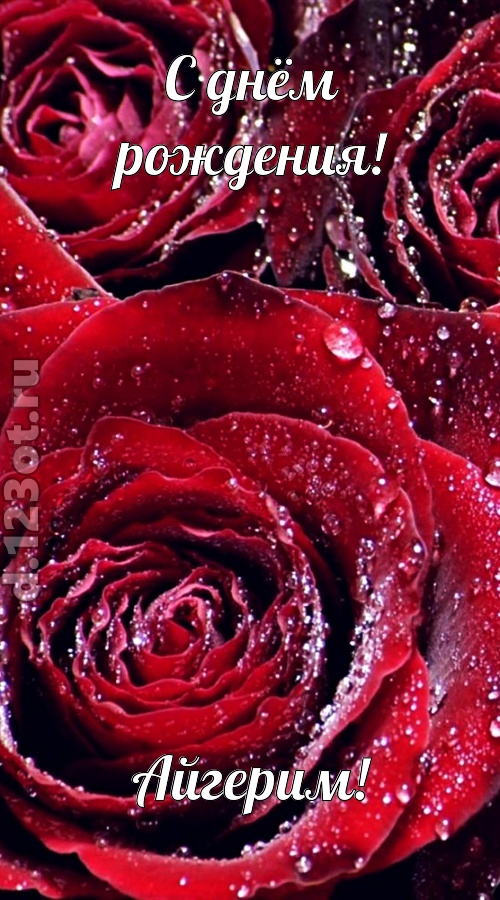 отходчивая открытка с днём рождения айгерим, скачать онлайн бесплатно на iphone для вацап, поздравление айгерим