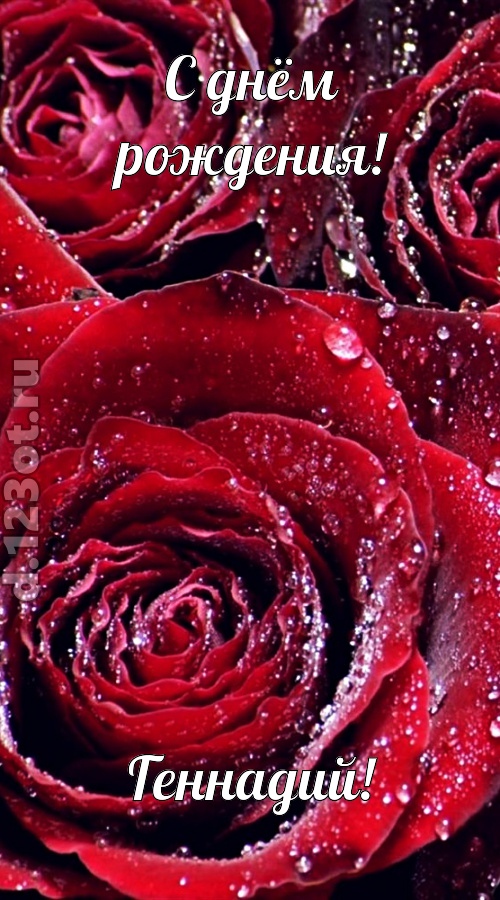 отходчивая открытка с днём рождения геннадий, скачать онлайн бесплатно на iphone для вацап, поздравление геннадий