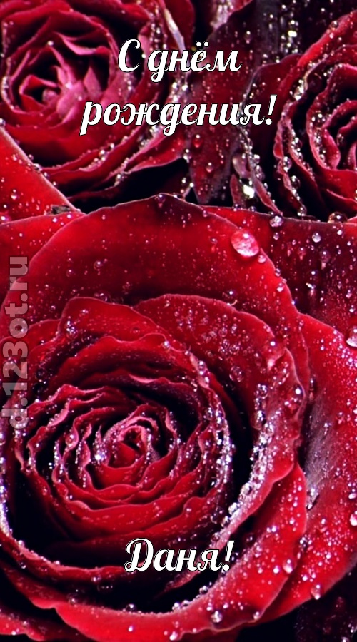 отходчивая открытка с днём рождения даня, скачать онлайн бесплатно на iphone для вацап, поздравление даня