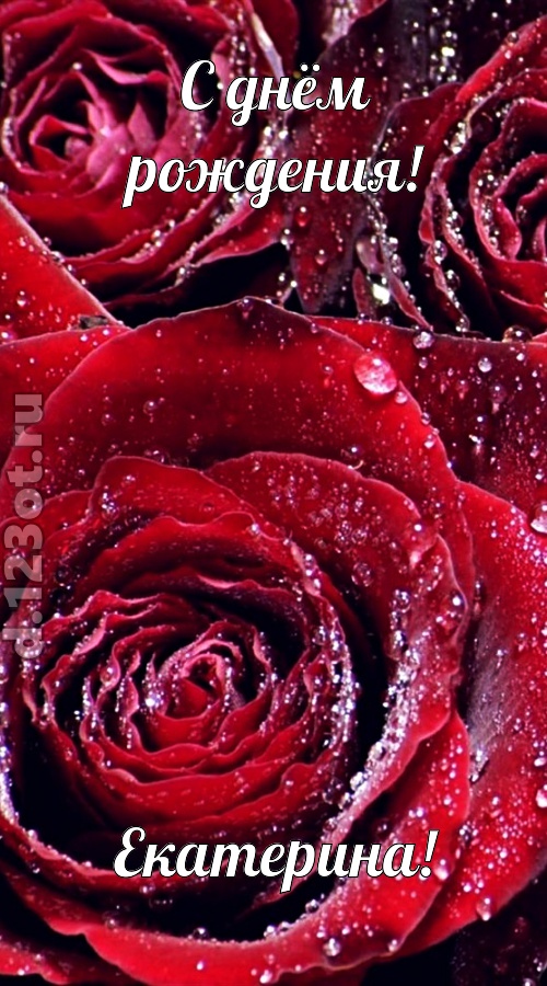 отходчивая открытка с днём рождения екатерина, скачать онлайн бесплатно на iphone для вацап, поздравление екатерина