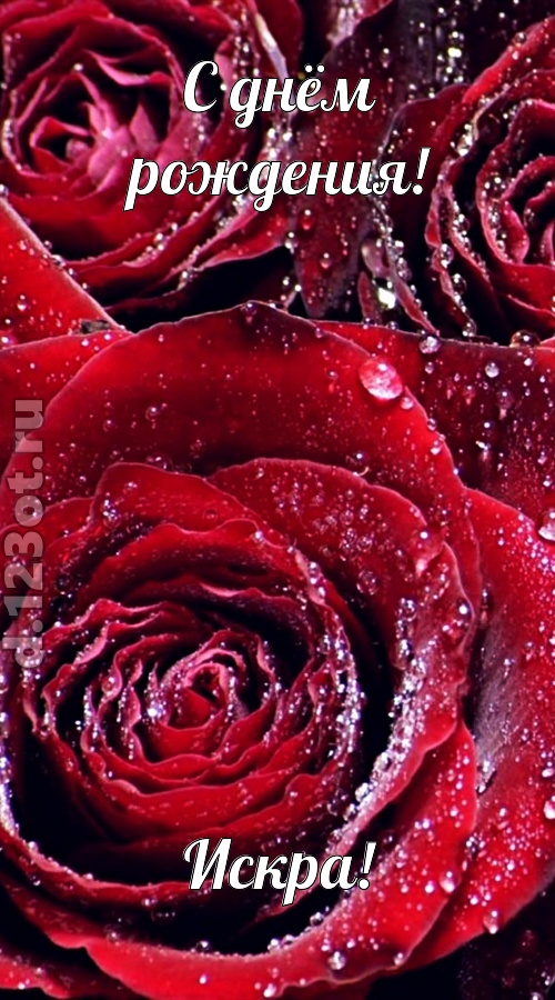 отходчивая открытка с днём рождения искра, скачать онлайн бесплатно на iphone для вацап, поздравление искра