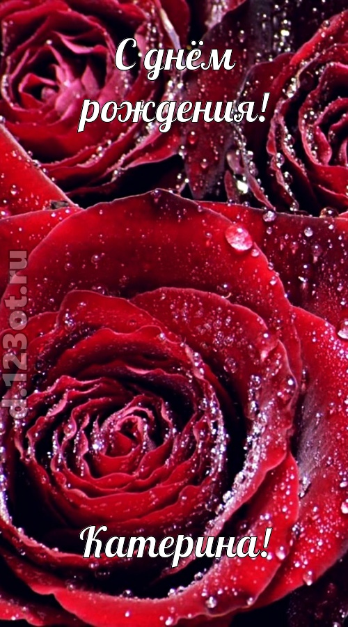 отходчивая открытка с днём рождения катерина, скачать онлайн бесплатно на iphone для вацап, поздравление катерина