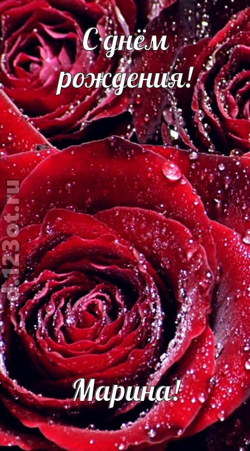 отходчивая открытка с днём рождения марина, скачать онлайн бесплатно на iphone для вацап, поздравление марина