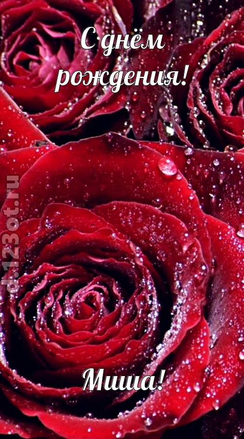 отходчивая открытка с днём рождения миша, скачать онлайн бесплатно на iphone для вацап, поздравление миша