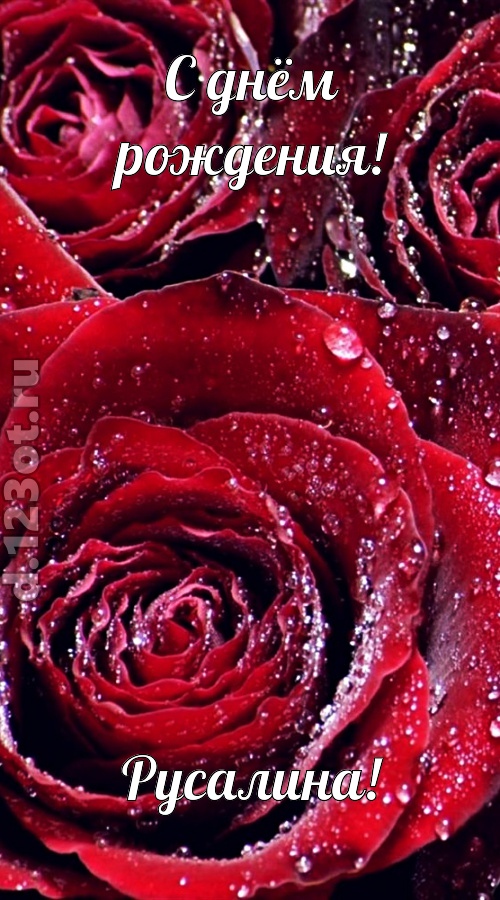 отходчивая открытка с днём рождения русалина, скачать онлайн бесплатно на iphone для вацап, поздравление русалина