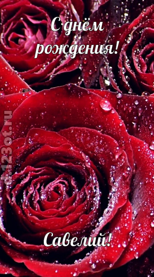 отходчивая открытка с днём рождения савелий, скачать онлайн бесплатно на iphone для вацап, поздравление савелий