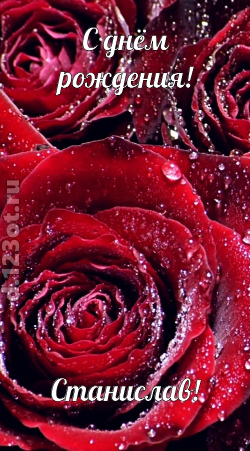 отходчивая открытка с днём рождения станислав, скачать онлайн бесплатно на iphone для вацап, поздравление станислав