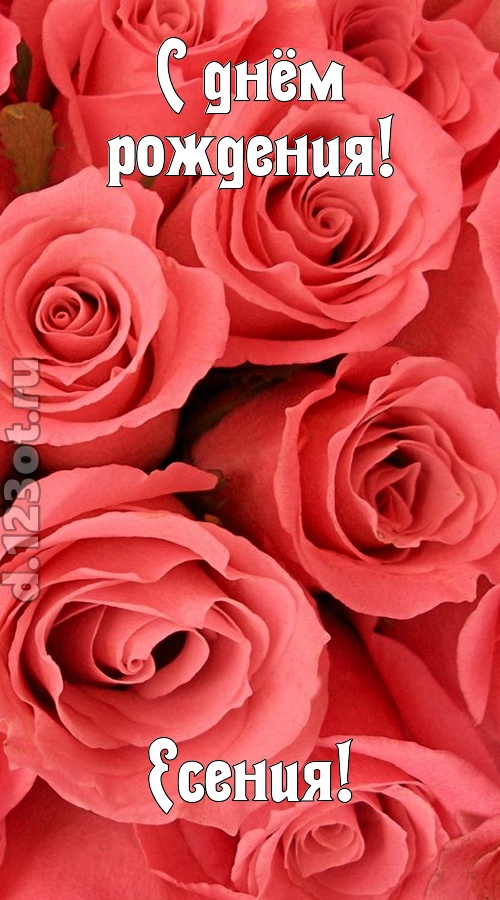 очага хранительница открытка с днём рождения есения, скачать онлайн бесплатно на iphone для вацап, поздравление есения