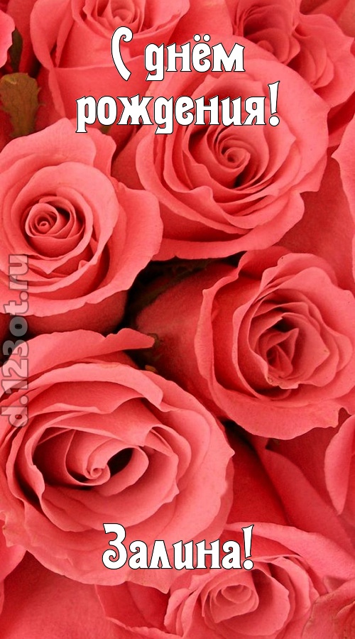 очага хранительница открытка с днём рождения залина, скачать онлайн бесплатно на iphone для вацап, поздравление залина