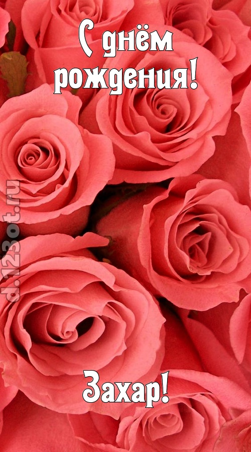 очага хранительница открытка с днём рождения захар, скачать онлайн бесплатно на iphone для вацап, поздравление захар