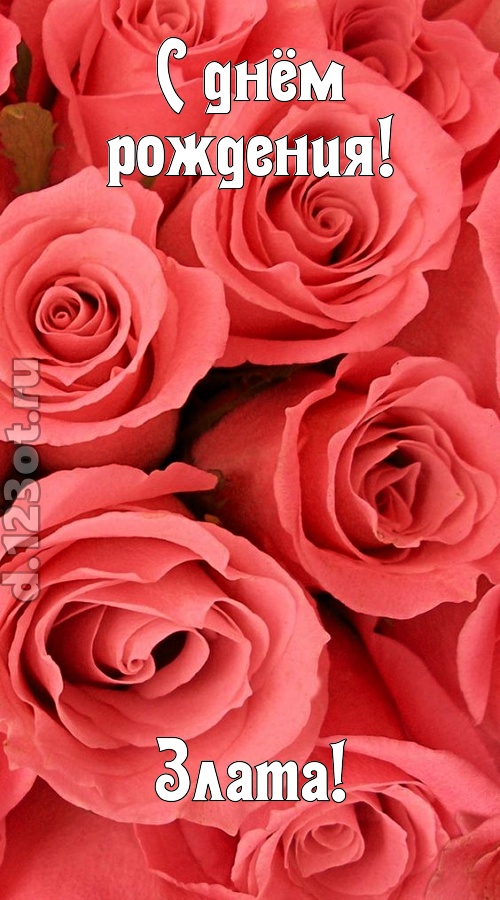 очага хранительница открытка с днём рождения злата, скачать онлайн бесплатно на iphone для вацап, поздравление злата