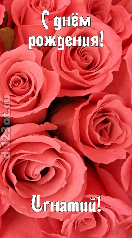 очага хранительница открытка с днём рождения игнатий, скачать онлайн бесплатно на iphone для вацап, поздравление игнатий